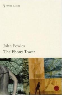      The Ebony Tower-Short Stories - John Fowles