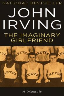      The Imaginary Girlfriend