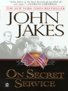      On Secret Service