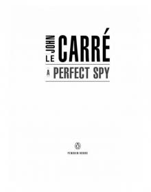      A Perfect Spy