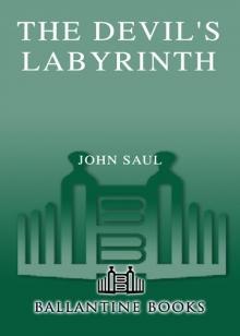      The Devil's Labyrinth