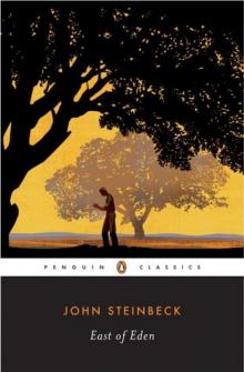      East of Eden