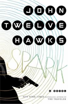      Spark: A Novel