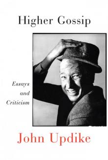      Higher Gossip: Essays and Criticism