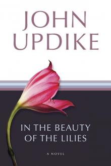      In the Beauty of the Lilies