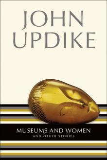      Museums and Women: And Other Stories