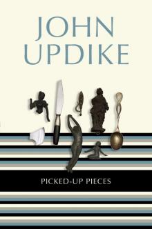      Picked-Up Pieces: Essays