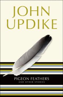      Pigeon Feathers: And Other Stories