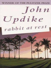      Rabbit at Rest