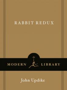      Rabbit Redux