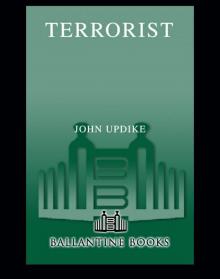      Terrorist