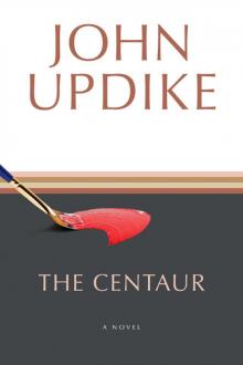      The Centaur: A Novel