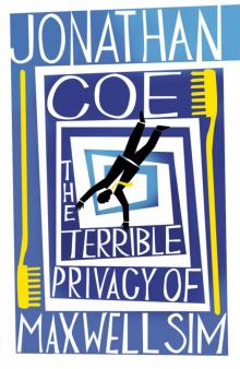      The Terrible Privacy of Maxwell Sim