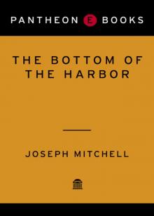      The Bottom of the Harbor