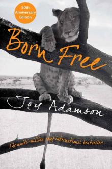      Born Free: A Lioness of Two Worlds
