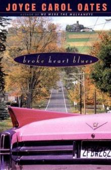      Broke Heart Blues