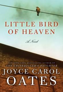      Little Bird of Heaven