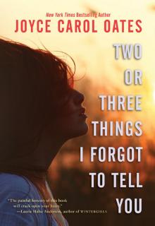      Two or Three Things I Forgot to Tell You
