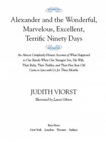      Alexander and the Wonderful, Marvelous, Excellent, Terrific Ninety Days