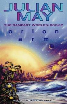      Orion Arm