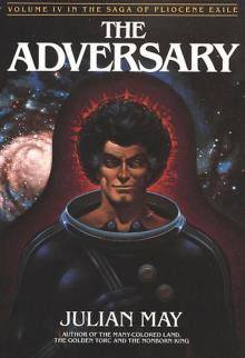      The Adversary