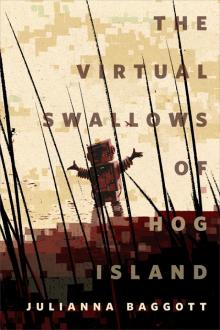      The Virtual Swallows of Hog Island