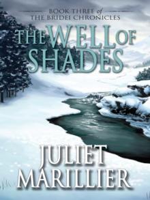     The Well of Shades