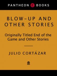      Blow-Up and Other Stories