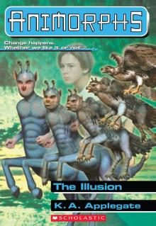      The Illusion