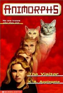      The Visitor