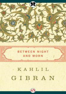      Between Night and Morn