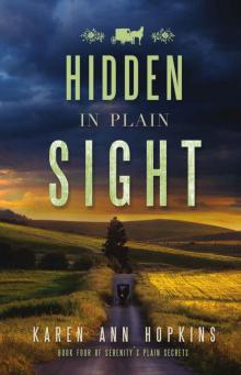      Hidden in Plain Sight