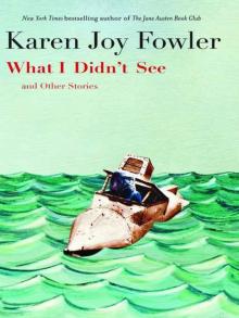      What I Didn't See and Other Stories