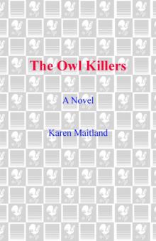      The Owl Killers