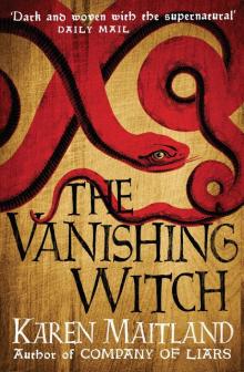      The Vanishing Witch
