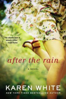      After the Rain