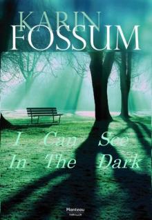      I Can See in the Dark (Karin Fossum)