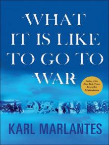      What It Is Like to Go to War