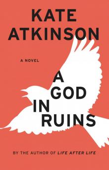      A God in Ruins