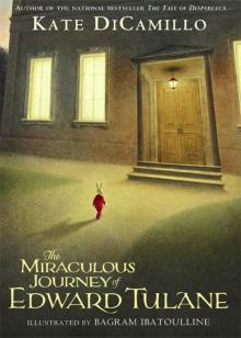      The Miraculous Journey of Edward Tulane