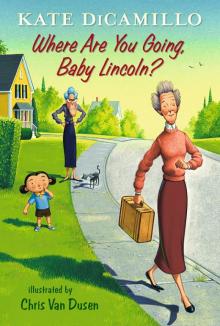      Where Are You Going, Baby Lincoln?