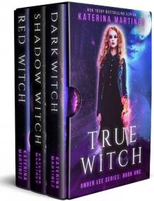      The Amber Lee Boxed Set
