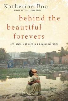      Behind the Beautiful Forevers