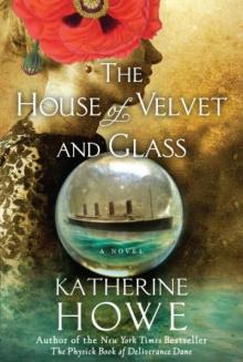      The House of Velvet and Glass