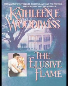      Elusive Flame
