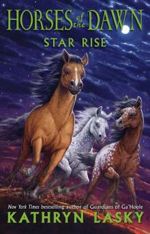      Star Rise