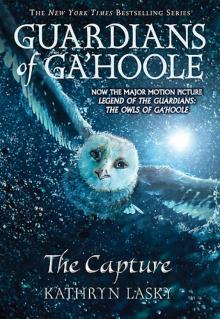      The Capture