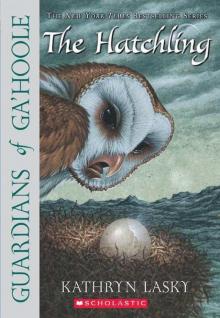      The Hatchling