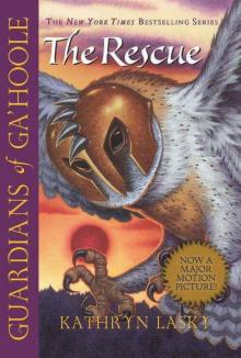      The Rescue