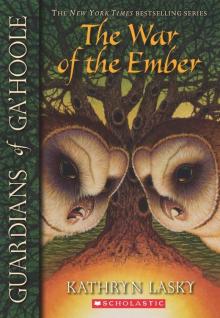      The War of the Ember